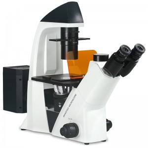 BS-2093AF Inverted Mikroskop Fluoresensi biologis