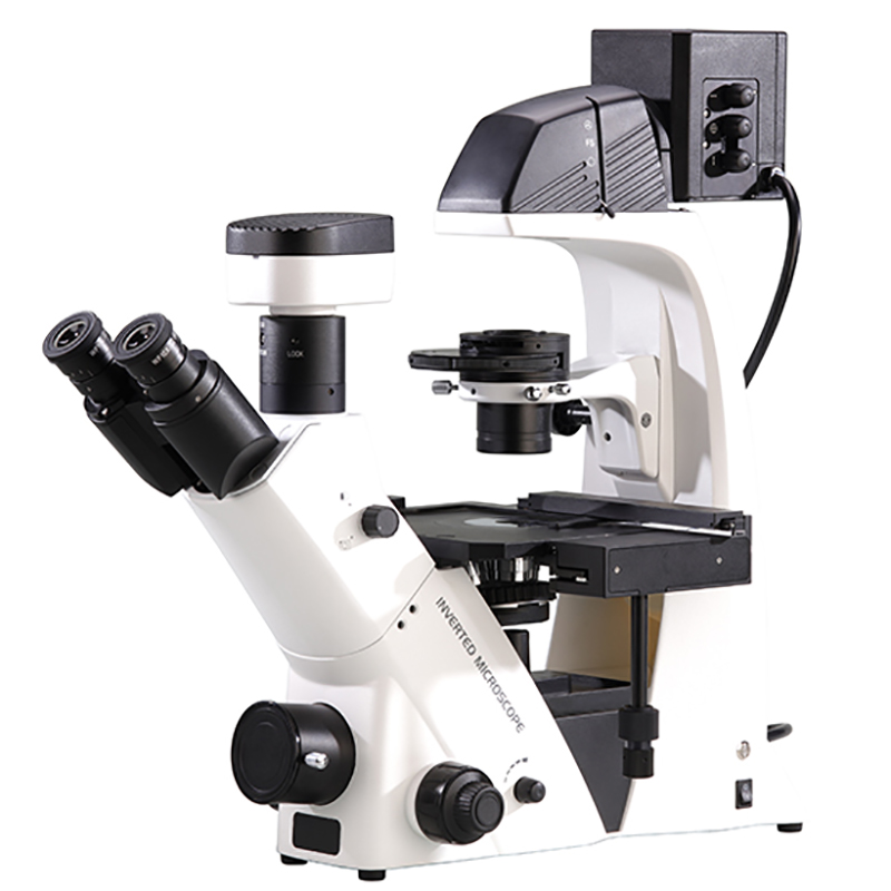 बीएस-2093बी उलटा जैविक माइक्रोस्कोप
