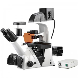 Invertni biološki fluorescentni mikroskop BS-2093BF