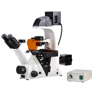 Microscope biologique fluorescent inversé à LED BS-2093BF(LED)