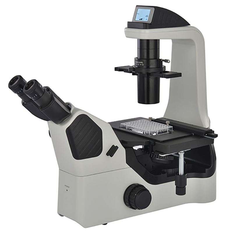 I-BS-2094F Fluorescent Inverted Biological Microscope