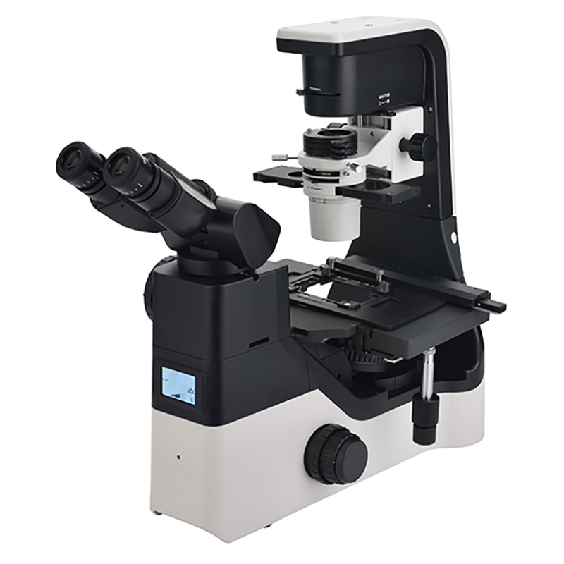 BS-2094C Mikroskop Biologi Terbalik