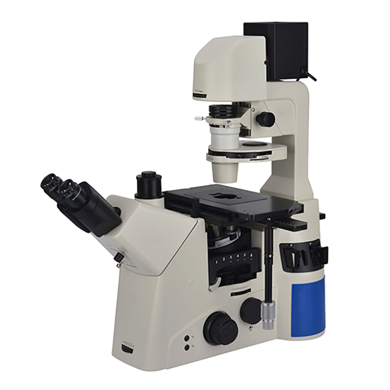 Microscopio invertido de investigación BS-2095