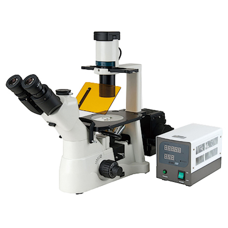 BS-2190AF Fluoresensi Inverted Mikroskop biologis