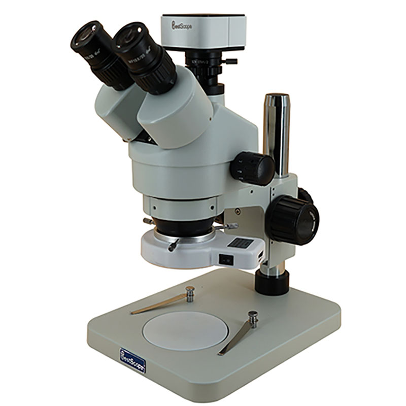 BS-3025T1(500L) Microscopi estèreo de zoom digital de 5.0MP