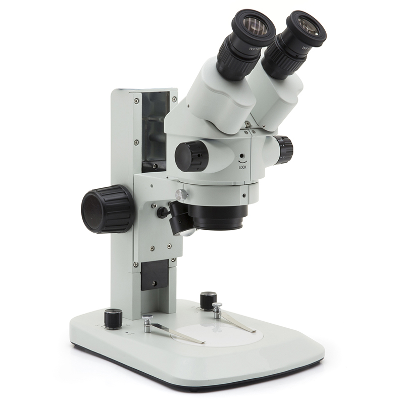 BS-3026B2 Microscopi estèreo binocular amb zoom