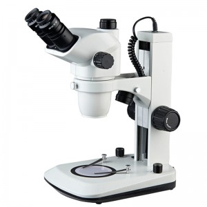 Microscope stéréo à zoom trinoculaire BS-3030BT