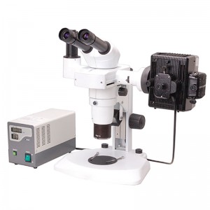 Miocroscop Stereo Binocular flùranach BS-3060FC