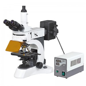 BS-7000A Mikroskop Biologi Pendarfluor Tegak