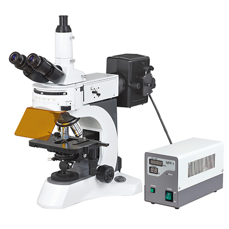 BS-7000A Mikroskopio Biologiko Fluoreszente Zutik