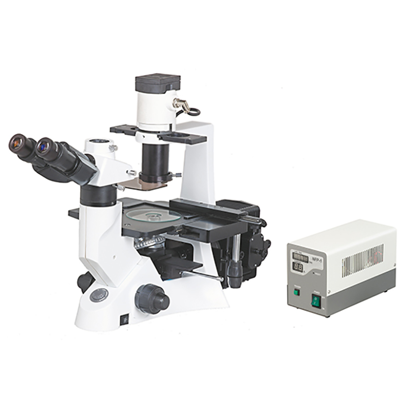 BS-7000B apgrieztais fluorescējošs bioloģiskais mikroskops