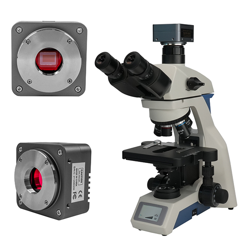 Caméra de microscope CMOS USB3.0 à monture C BUC5F-1200BC (capteur Sony IMX577, 20,0 MP)