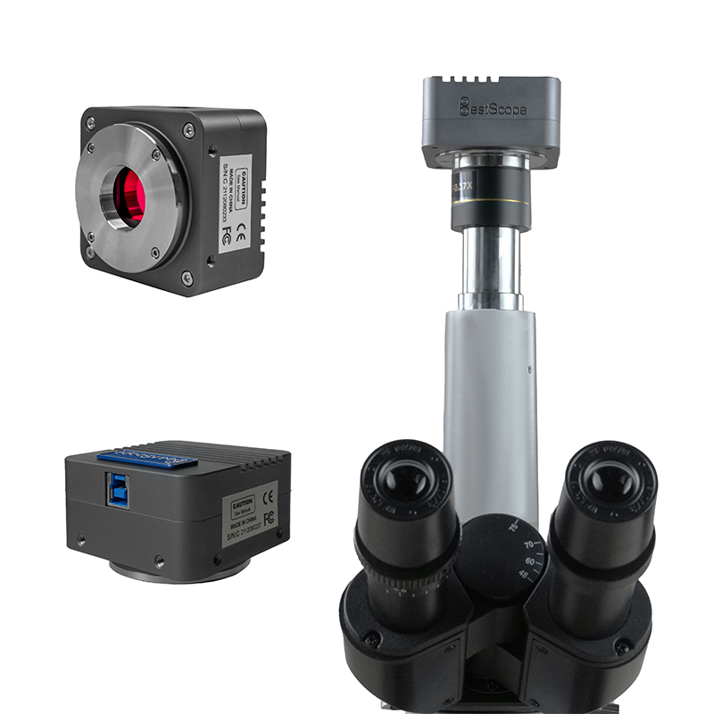 Caméra de microscope numérique CMOS USB3.0 BUC5E-2000BC (capteur Sony IMX147, 20,0 MP)