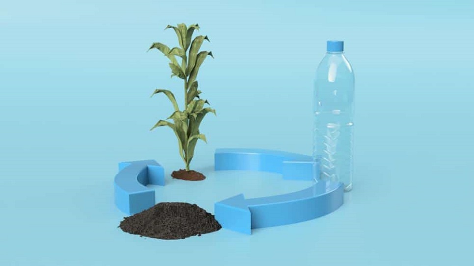 Mi a különbség a bioalapú és a petrolkémiai alapú műanyagok között?
