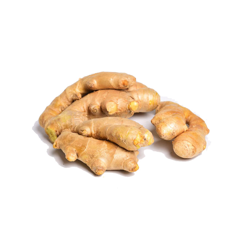 High Quality Organic Ginger Series Featured Image