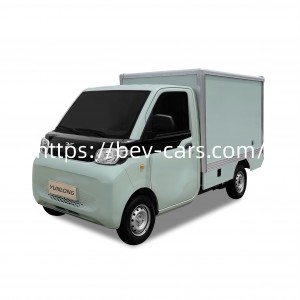 Electric Cargo Van-Reach