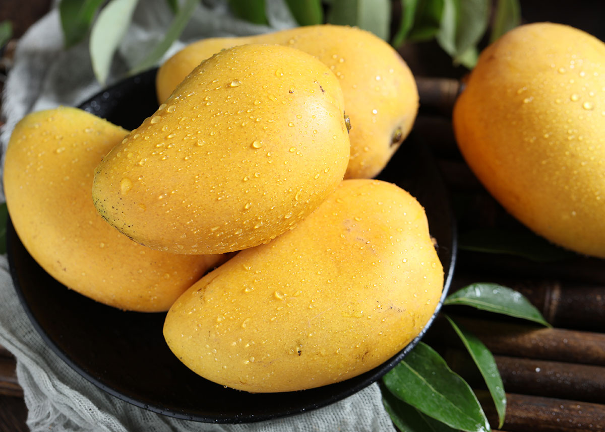 Hânlieding foar paclobutrazol op mango