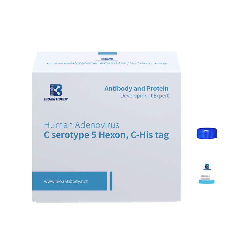 पुनः संयोजक मानव एडेनोभाइरस सी सेरोटाइप 5 हेक्सन, सी-हिस ट्याग