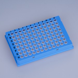 Faldón completo con marco azul Placa de 96 pocillos PCR de 0,1 ml