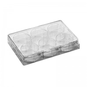 Lab Consumable Tc បានព្យាបាល 6-Well Polystyrene Cell Culture Plate