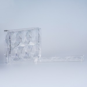 Lab Consumable Tc-behandlet 6-brønds polystyren cellekulturplade
