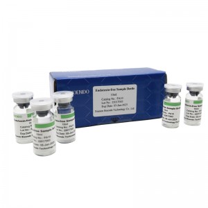 Depyrogenované vzorkové lahve ( Depyrogenated Galssware )
