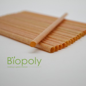 Wholesale Sugarcane Fiber Straw PLA Straws Biodegradable