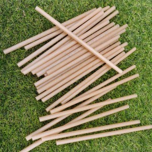 Sugarcane Drinking Straws, Biodegradable, Compostable, and Plastic-Free, Pack of 50, Cocktail
