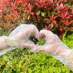 Plant-Based PLA – Pack of 100 Eco-Friendly, and Safe Food Preparation – Plain/Transparent gloves