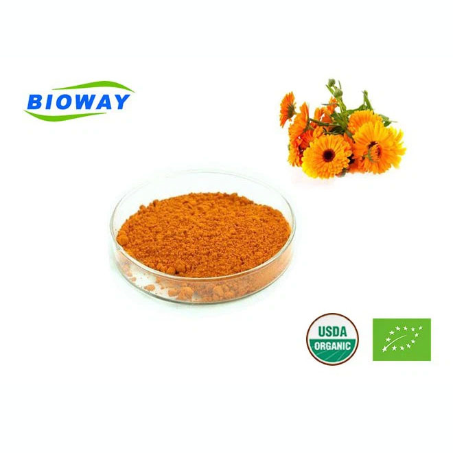 Organic Marigold Extract Lutein Powder