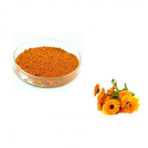 Üzvi Marigold ekstraktı Lutein tozu