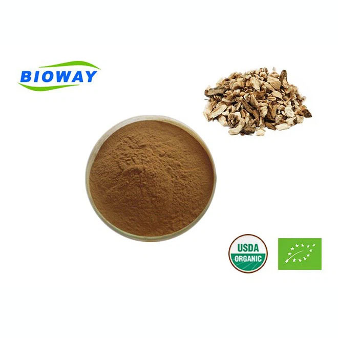 Organic Burdock Root Extract with High concentration