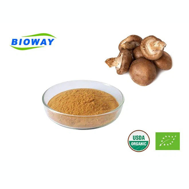 Organic Shiitake Mushroom Extract