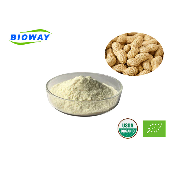 Erdnuss-Protein-Pulver