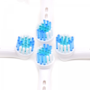 मानक सफा प्रकारको इलेक्ट्रिक टूथब्रश प्रतिस्थापन हेडहरू फिट गर्नुहोस्
