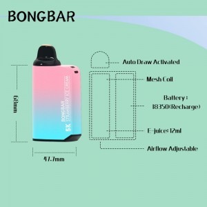 Disposable Vape BLONGBAR 5000 puffs Bar 12ml Oil Capacity na baterya 850mah Rechargable Type-c E Cigarette Vaporizer Pen