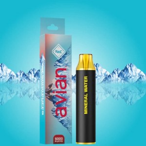 OEM ODM Best Vapes Vmc Pots ඉවත දැමිය හැකි කරල් 5000 Puff E-cigarettes