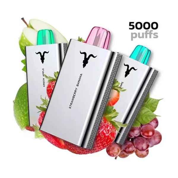 Нова гаряча розпродажна електронна сигарета Ignite 5000 Puffs Disposable Vape 5% Nicotine Rechargeable E-cigarette