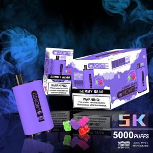Hete verkoop wegwerp vape-pen fabrieksprijs OEM groothandel 5000 rookwolken elektronische sigarettenverdamperpen