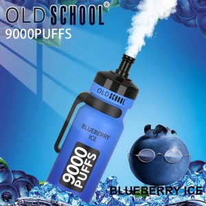 ໂຮງງານຜະລິດ OEM ຂາຍຍົກ Aladin Pro Enjoy 9000 Puffs Disposable Vape 2% 5% Nicotine Salt Rechargeable Electronic Cigarette Vaporize Pod