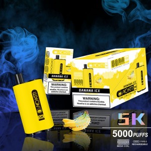 Hot Rea Disponibel Vape Penna Fabrikspris OEM Grossist 5000 puffs elektronisk cigarett Vaporizer Penna