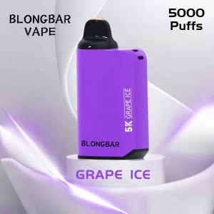 Vape Disposable BLONGBAR 5000 puffs Bar 12ml Żejt Kapaċità batterija 850mah Rechargeable Type-c E Sigaretti Vaporizzatur Pinna