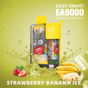 Snowwolf Easy Smart EA9000 Disposable Vape 9000 Puffs Rechargeable E سگریٹ