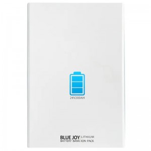 Wholesale 100ah Lifepo4 Battery –  BJ24-200 LITHIUM ION BATTERY BANK  – Blue Joy