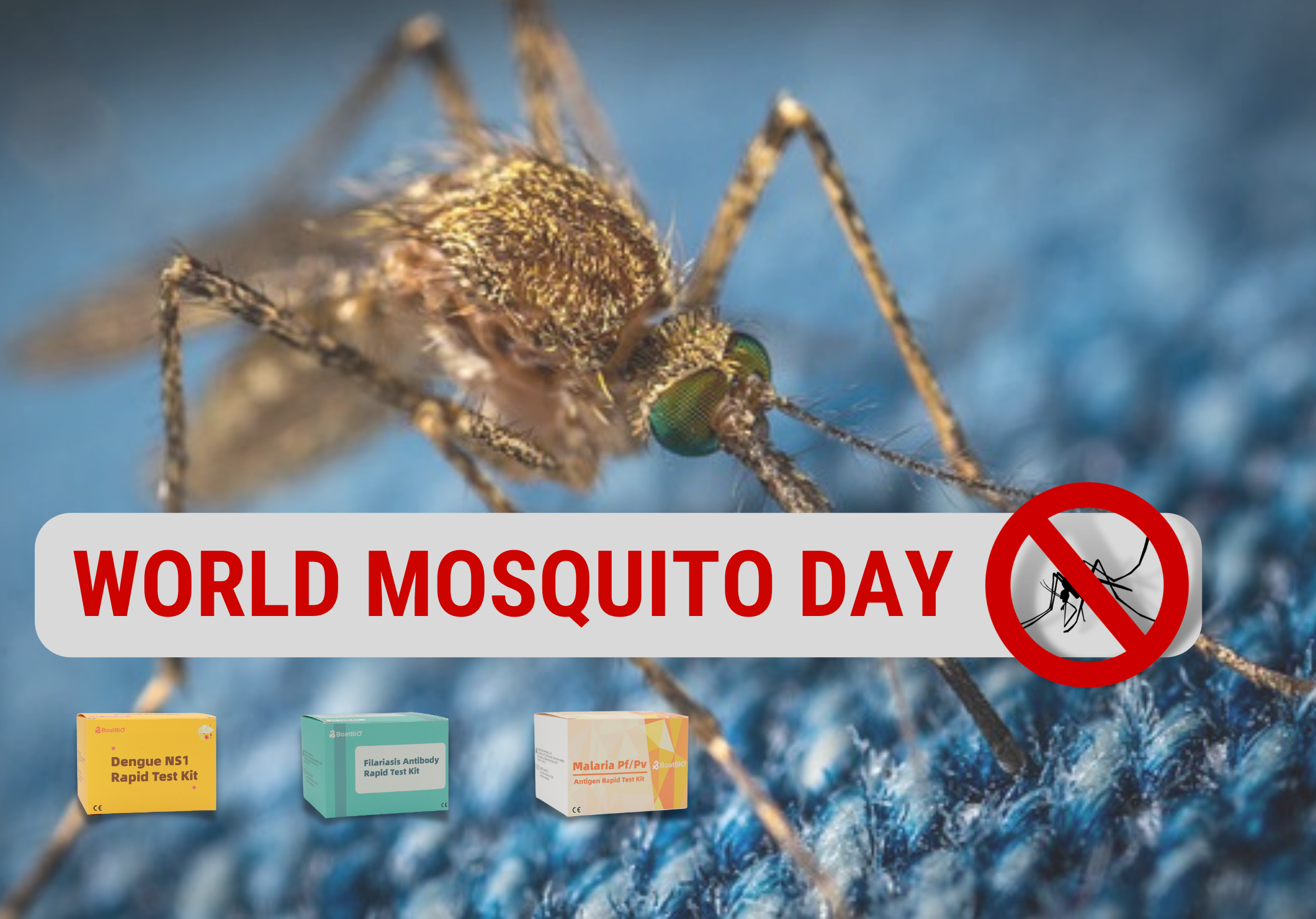 Светски ден на комарците