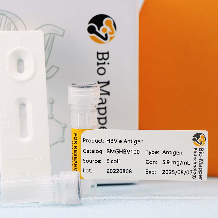 HBV (Rapid)