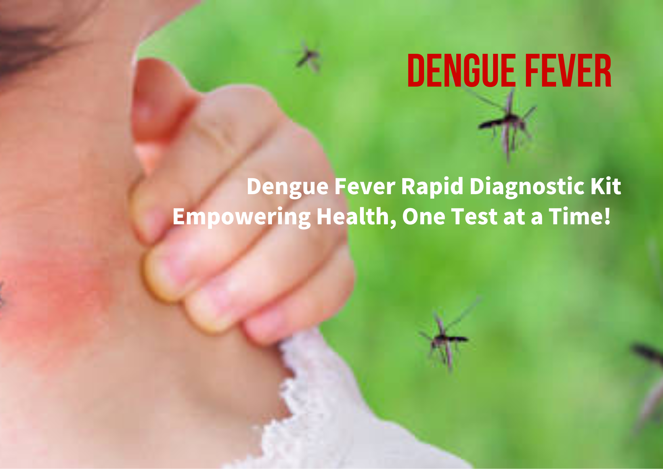 ڈینگی بخار کی تیز تشخیصی کٹ: صحت کو بااختیار بنانا، ایک وقت میں ایک ٹیسٹ!