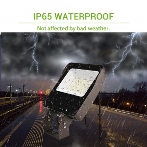 Ip65 Надворешни LED светла за поплави 161lm/W