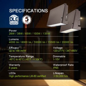 LED وال پیک لائٹس 5000K 130W 20000 lm