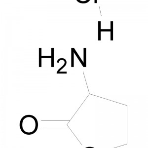 DL-Gomosisteinetiolakton HCL